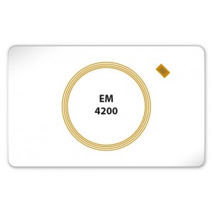 125KHz EM4200 RFID Blank Cards Pack of 100